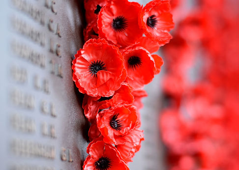 Poppy Wall