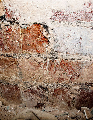 Wet rot in the masonry of a wall