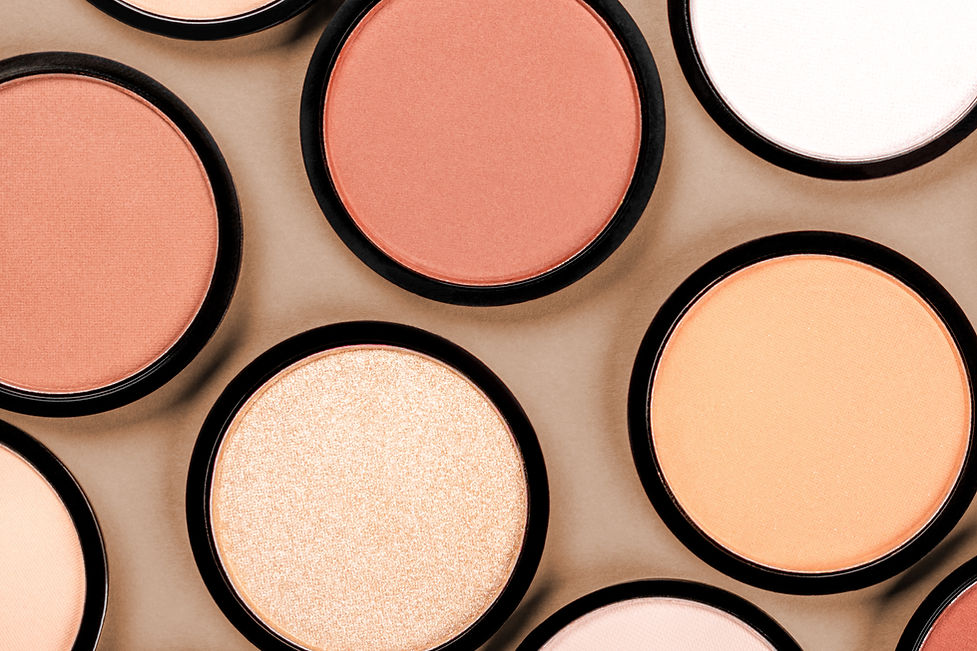Blush Palette Closeup