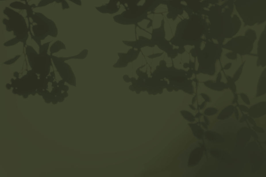 Leaf Shadows Design
