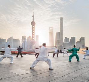 Tai Chi Praxis