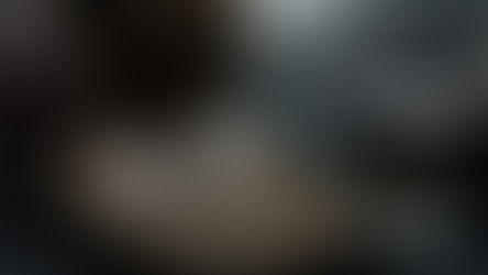 跨界聯手：日成集團與蝶映共譜設計師培育新篇章