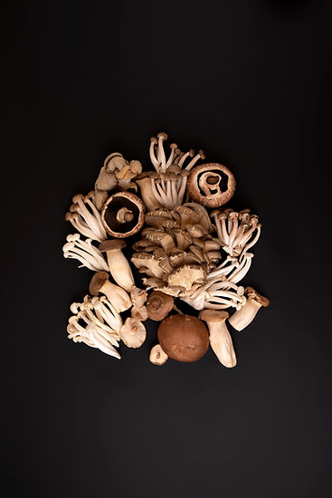 Wild Mushrooms