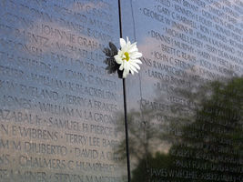 White daisy tucked in a black engraved memorial wall listing names, with reflections and a solemn, respectful mood.