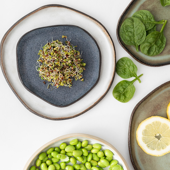 Healthy Food Ingredients