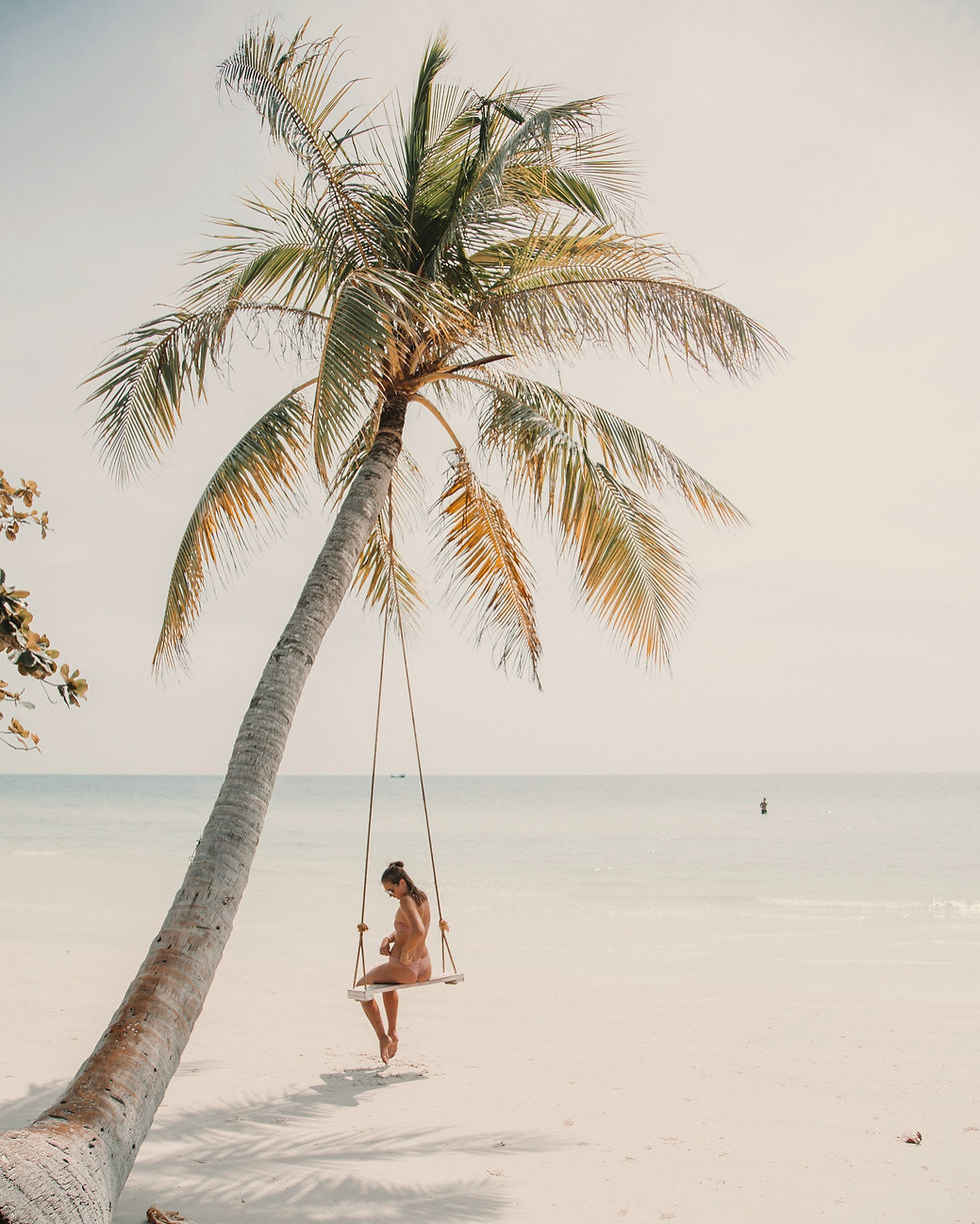 Beach Swing Serenity