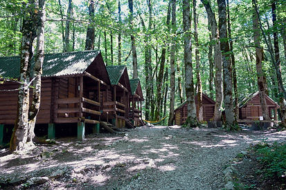 Wooden Forest Cabins