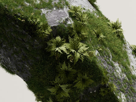 転がる石に苔は生えぬ