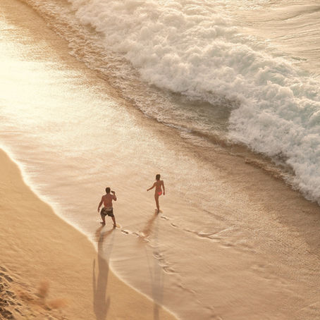 The Language of Life