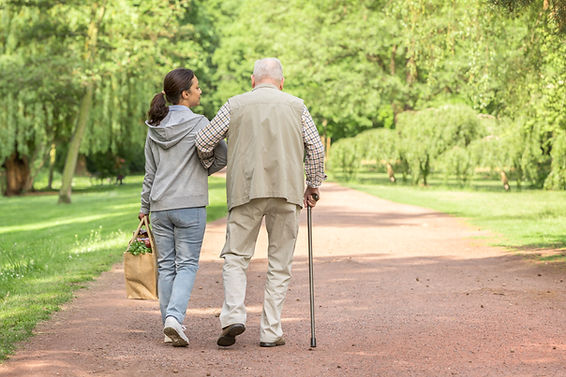 Promenade dans le parc