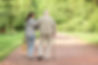 Spazieren im Park