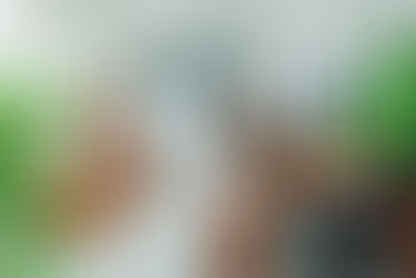 Canada’s Talent Gap Is Widening