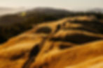 Golden Hills Landscape