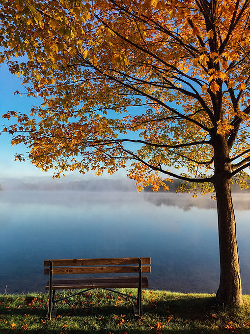 Autumn Lakeside Scene