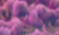 Abstract Pink Structures