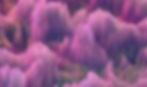 Abstract Pink Structures