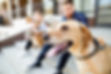 People and dogs