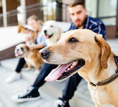 Menschen und Hunde