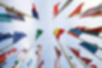 Country Flags