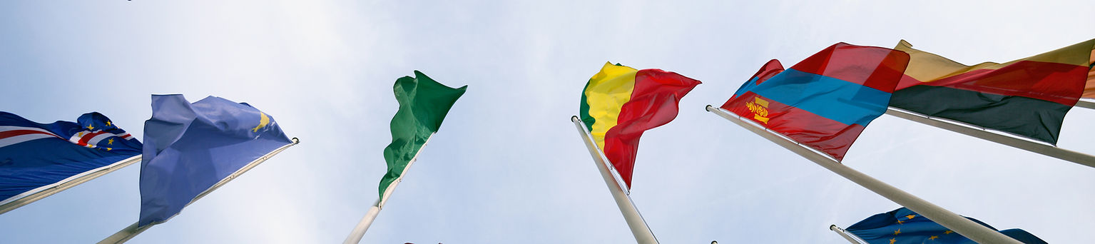 Country Flags
