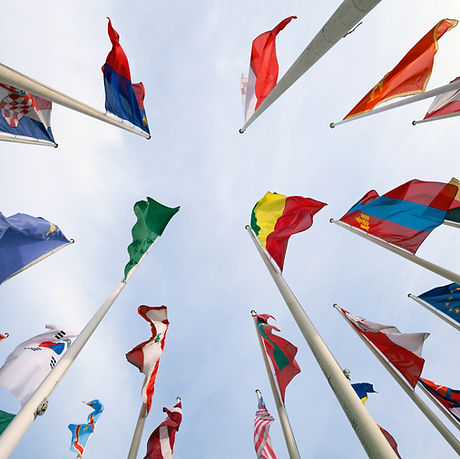 Country Flags