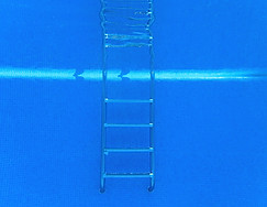 Pool Ladder
