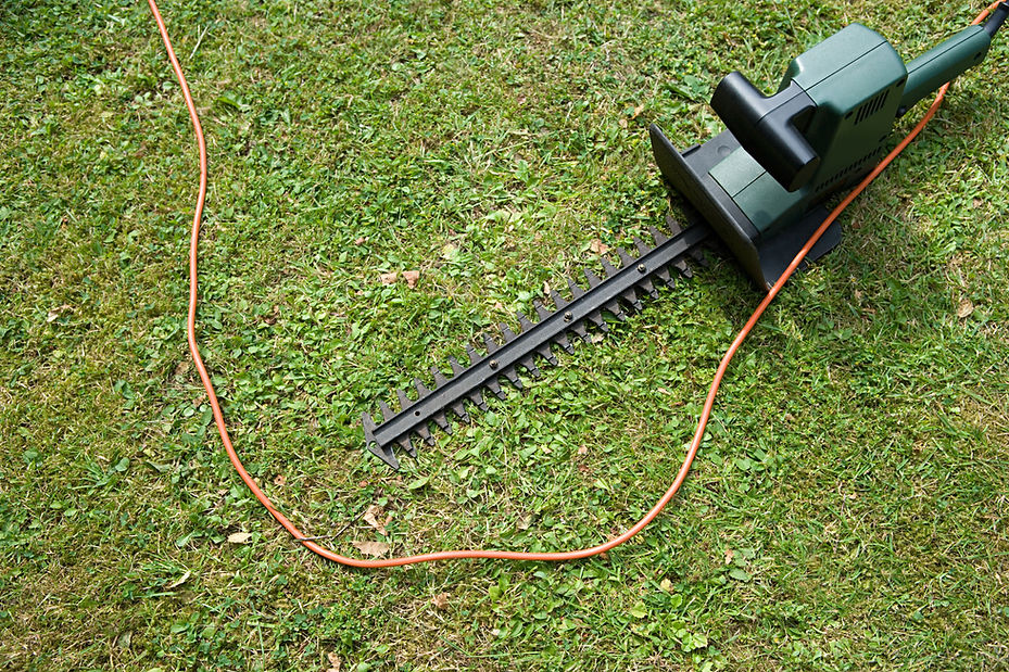 Green an black hedge trimmer