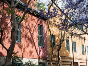 Disinfestazione Blatte Condominio Roma e Lazio 2025