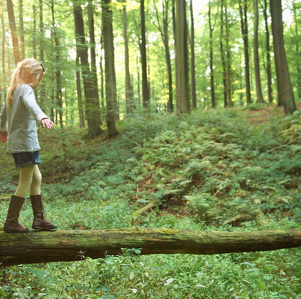 Kind balaciert im wald auf ein baumstamm