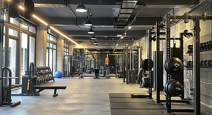 Modern Gym Interior
