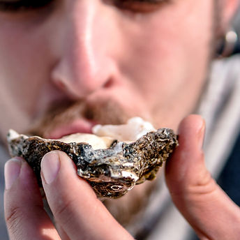 新鮮な牡蠣を食べる