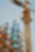 Construction Crane
