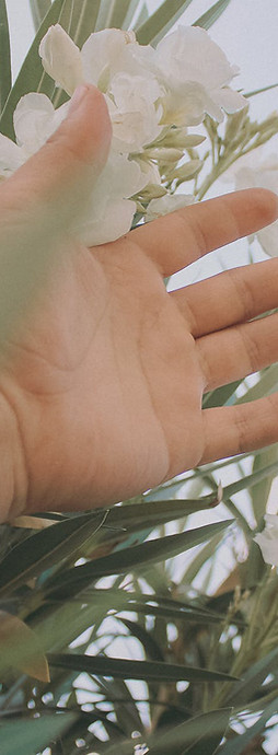 Katherine Alexiss helping women redesign their daily rhythm to romanticize their everyday life