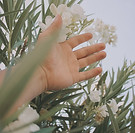 Reaching Out