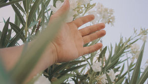 Alta sensibilidad, hipersensibilidad y percepción sensitiva