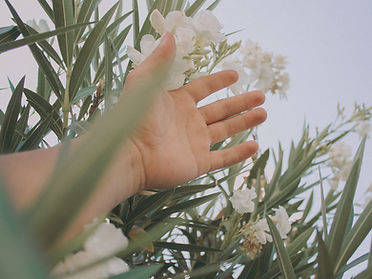 Hand Touching Flowers