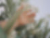 Reaching Out