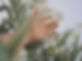 Reaching Out