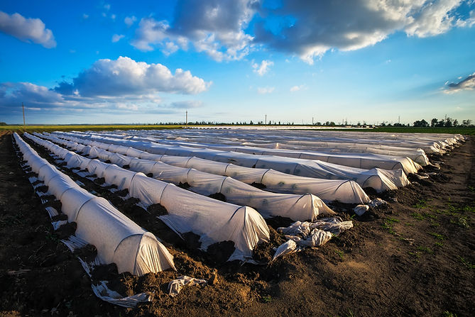 Drone greenhouse and polytunnel cleaning services UK