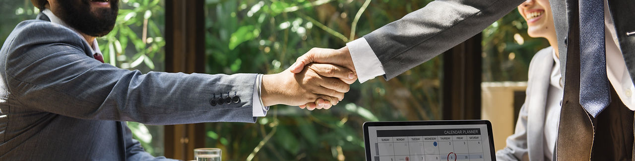 Business Consultation