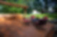 Wooden deck