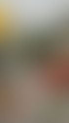 Vegan? The 7 Nutrients That You Should Be Aware Of