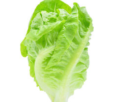 Lettuce Quick Tip: