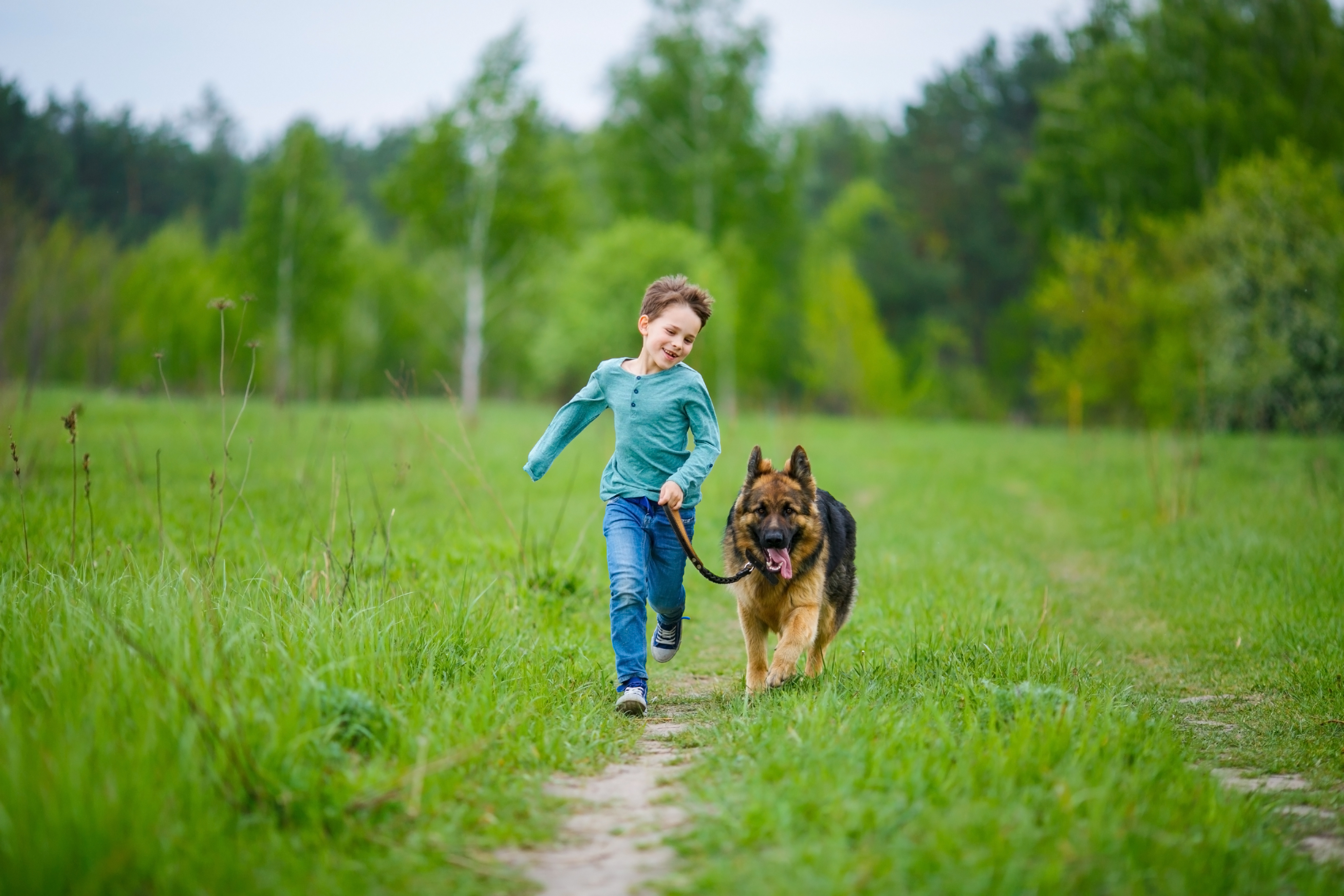 Kid & Pet Friendly Design