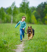 Boy Walking His Dog