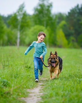 Boy Walking His Dog