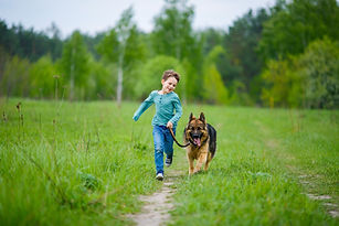Boy Walking His Dog