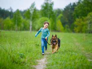 Boy Walking His Dog