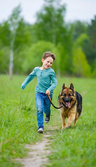 Boy Walking His Dog