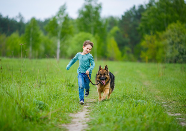 Boy Walking His Dog